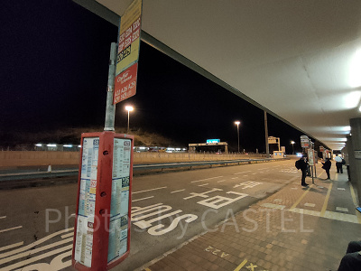 香港ディズニーランドアクセス：バス停番号をよく見て乗ろう