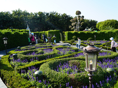 香港ディズニーランドのアトラクション：フェアリーテイル・フォレスト