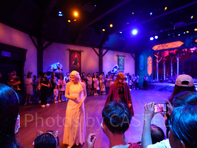 香港ディズニーのスタンバイパス対象施設：アナ雪ショー「プレイハウス・イン・ザ・ウッズ」