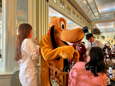 ディズニーエンチャンテッド ディズニー オーロラ ロルカナ エンチャンテッド エンチャン