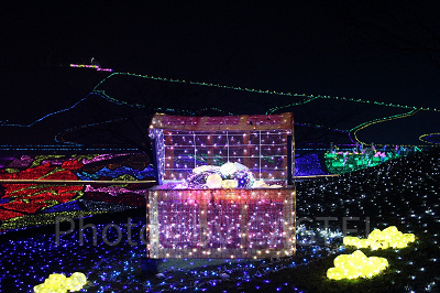 大人気のイルミはどれくらい混む？