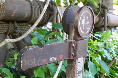 いくつから乗れる？確認方法は