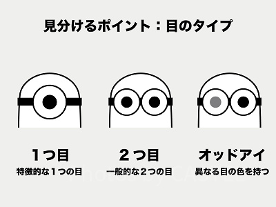 ミニオンの見分け方②：目のタイプ