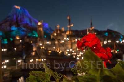 ディズニーでの夜の過ごし方③：ディナーで特別な時間を♡