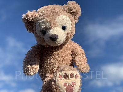 お得に泊まれる日に行きたい♪