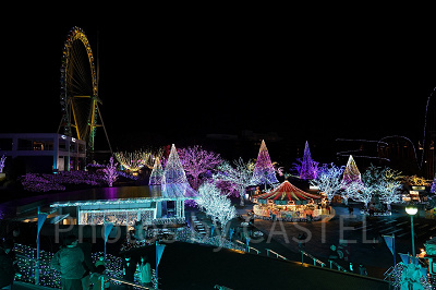 イルミネーションが点灯したよみうりランド