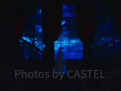 ファントムマナー内部の様子