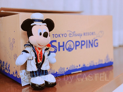ディズニー お土産袋 値段 ディズニーリゾート 500枚以上 ショッパー