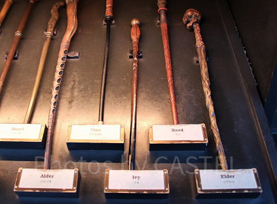 ハリーポッターグッズ/ツタ(9/30~10/27)