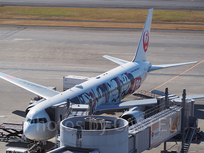 JALのディズニーチケット