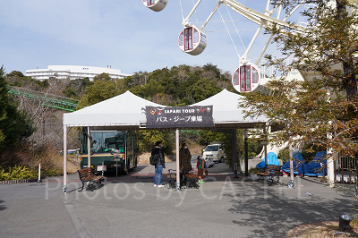 ジープサファリ