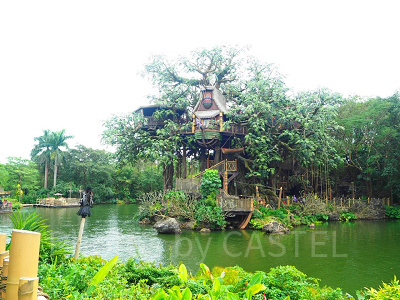 ジャングルクルーズ