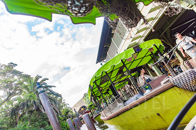 ジャングルクルーズ:ワイルドライフ・エクスペディション