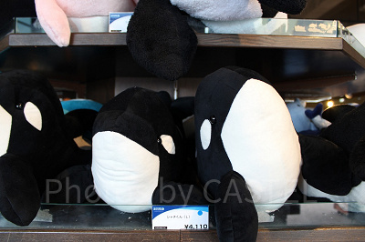 鴨川シーワールドのシャチのぬいぐるみ