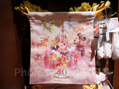 きんちゃく（ディズニー40周年グッズ）