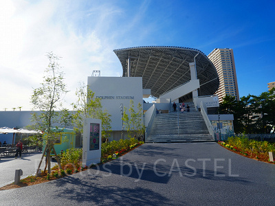 神戸須磨シーワールド：ドルフィンスタディアム