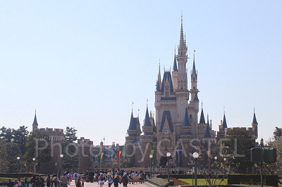 ランドかシーか？果たして･･･