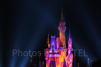 抽選にチャレンジしてショーを観よう