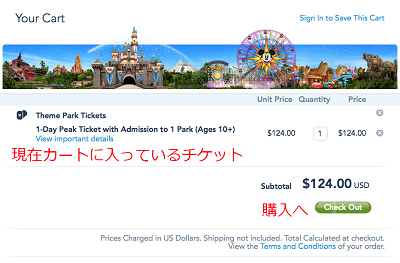 選択したチケットが入っているかカートを確認しよう♪
