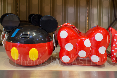 ポップコーンバケットを持ってディズニーランドを楽しもう♡