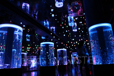 ジェリーフィッシュランブルのライティング（通常バージョン）