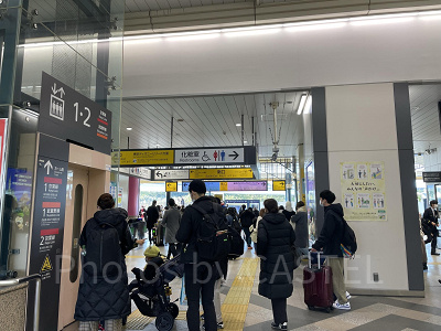 ディズニーランド混雑状況の現地レポート：朝の舞浜駅