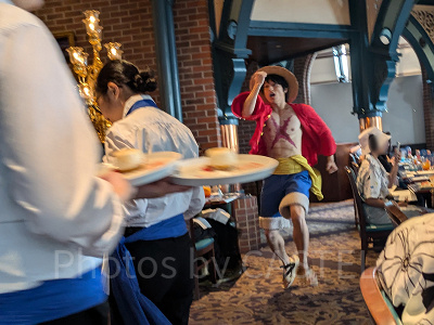 サンジの海賊レストランのルフィ（2024年）