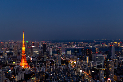 東京観光にも便利な立地のホテルが多い