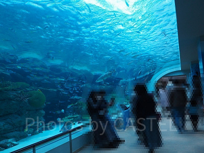 普通の土日にも多くの人が利用しています