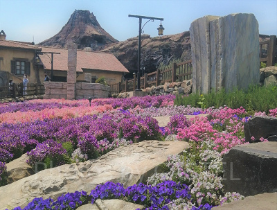 メディテレーニアンハーバー：お花畑