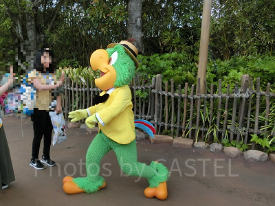 ロストリバーデルタでホセ・キャリオカと触れ合える