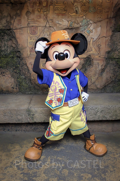 ミッキー&フレンズ・グリーティングトレイル