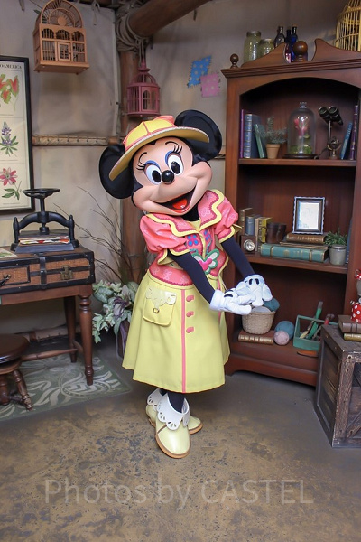 ミッキー＆フレンズ・グリーティングトレイル