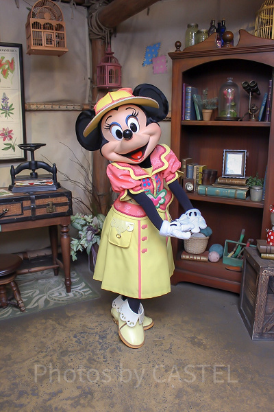 レア物」My めづらい Mickey Room ミッキーマウス 本棚 