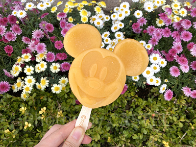 ミッキーアイスバー(トロピカルフルーツ)