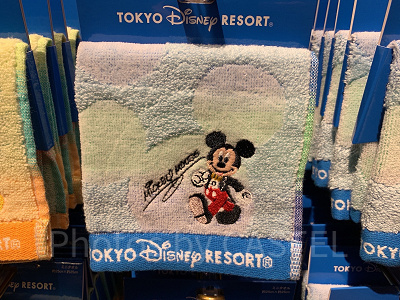 ディズニーリゾート　ミニービーチバス、フェイスタオルセット ディズニーリゾート ミニービーチバス、フェイスタオルセット