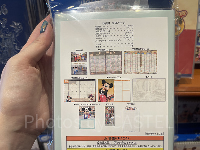 ミッキーマウスと仲間たち（実写）デザインの手帳