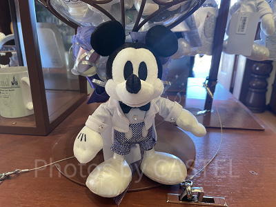 ディズニー グッズまとめ テーマはロストリバーデルタ！東京ディズニーシー 19周年グッズ