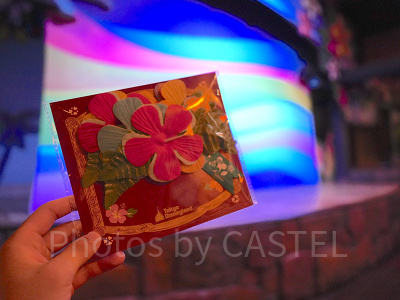 ミッキーのレインボールアウ：料金