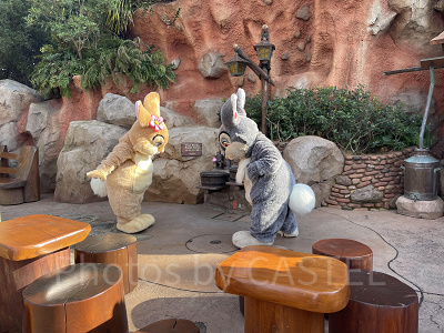 ミスバニーととんすけ