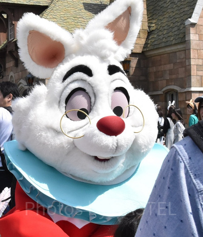 ディズニー アリスインワンダーランド ホワイトラビット メガネスタンド