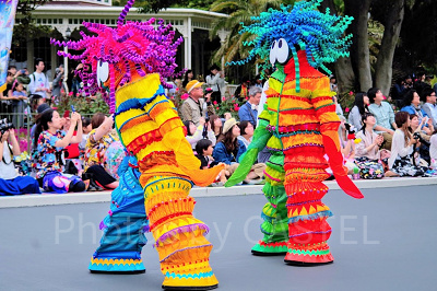 花や鳥モチーフの衣装のダンサーたちの後ろを歩く モメラス