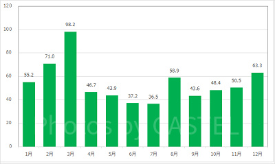 ビックサンダー・マウンテンの月別平均待ち時間