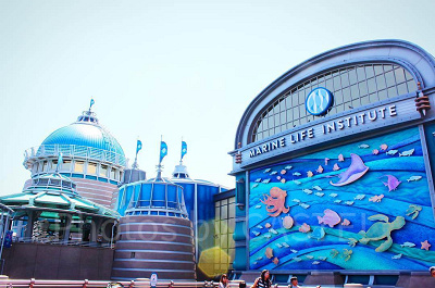 ニモ＆フレンズ・シーライダー