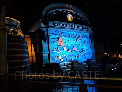 ニモ＆フレンズ・シーライダー