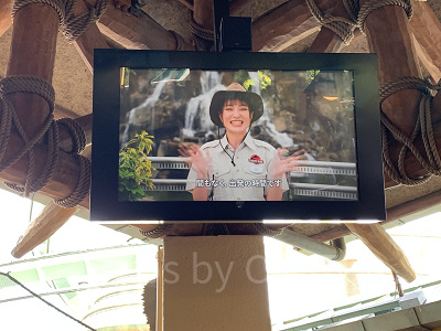 USJ】2025/1/8再開のジュラシックパークザライドはどう変化した