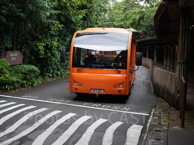 ナイトサファリ：無料トラム