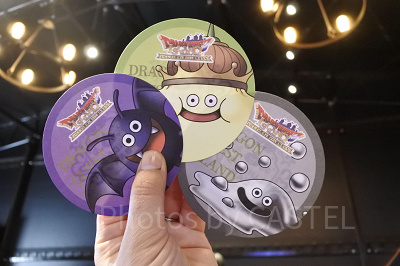 ニジゲンノモリ「ドラゴンクエストアイランド」／コースター