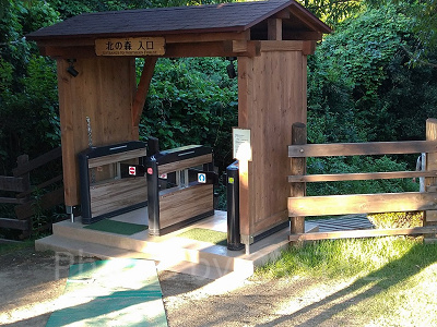 ニジゲンノモリ/ドラゴンクエストアイランド