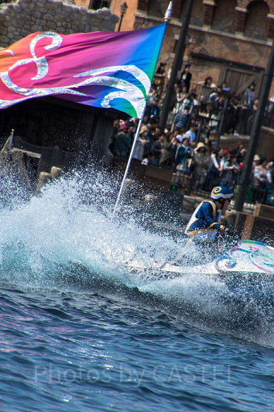 通常撮り作例 設定：300㎜ SS1/320 F8.0 ISO100